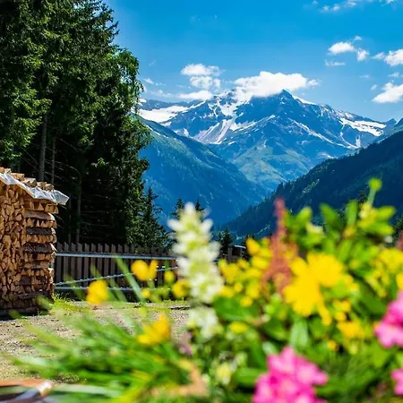 Schachenhuette Bad Gastein Nationalpark Hohe Tauern Holiday home Bad Gastein